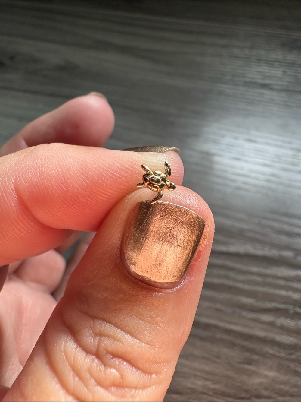 14k Sea Turtle flatback stud